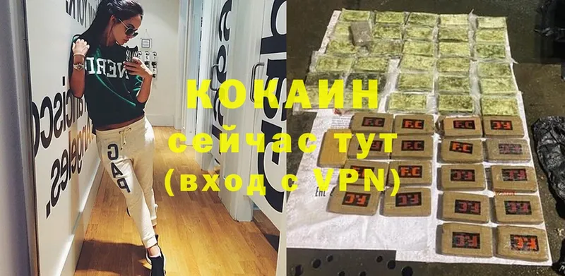 Cocaine FishScale  купить закладку  Старая Купавна 