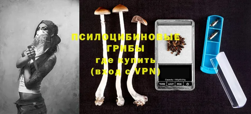 hydra как зайти  Старая Купавна  Псилоцибиновые грибы Magic Shrooms 